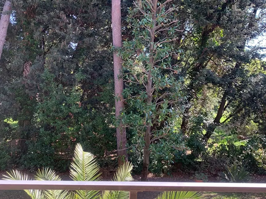 Immagine 19 di Appartamento in affitto  a Forte Dei Marmi
