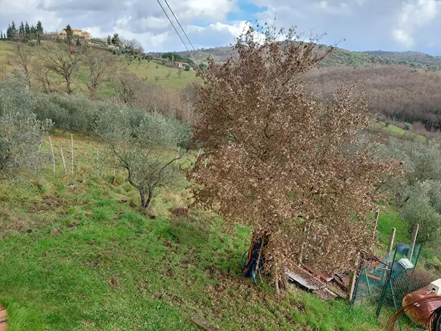 Immagine 31 di Casa colonica in vendita  a Lastra A Signa