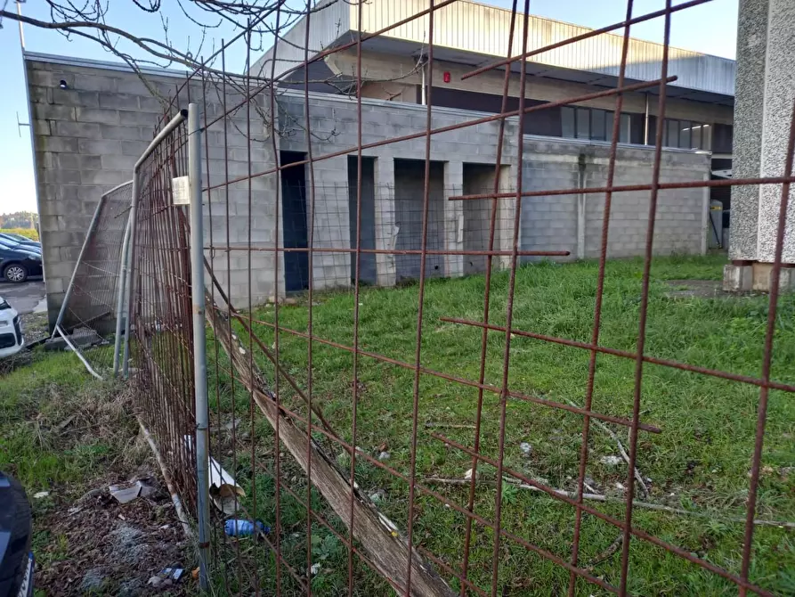 Immagine 7 di Attività artigianale in vendita  a San Miniato