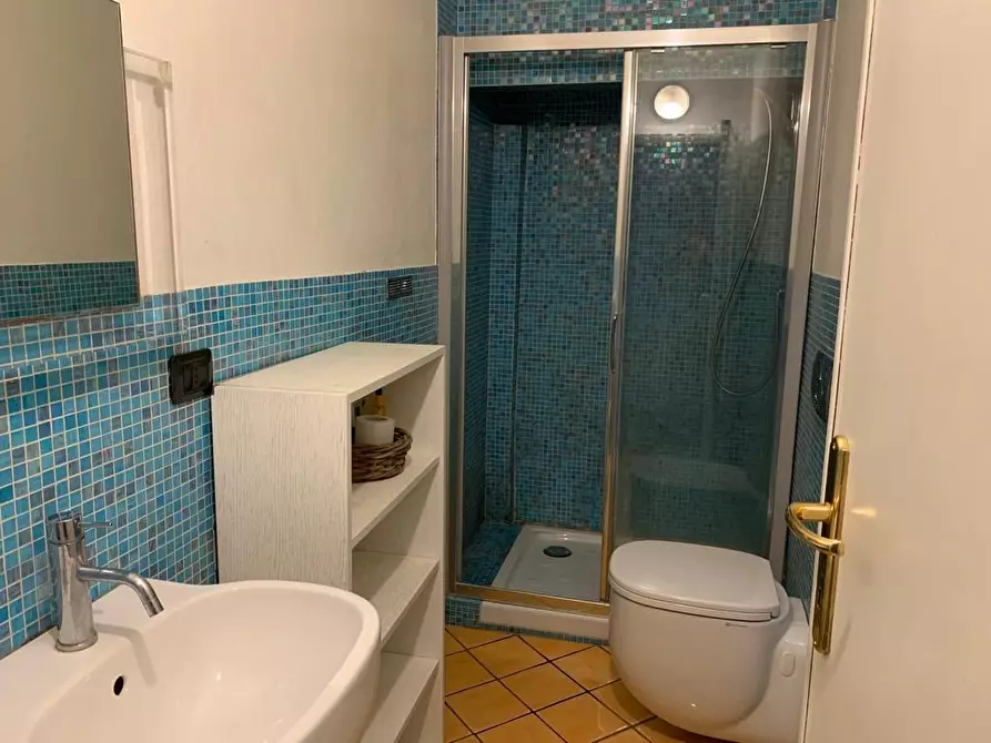 Immagine 29 di Villa in affitto  a Forte Dei Marmi