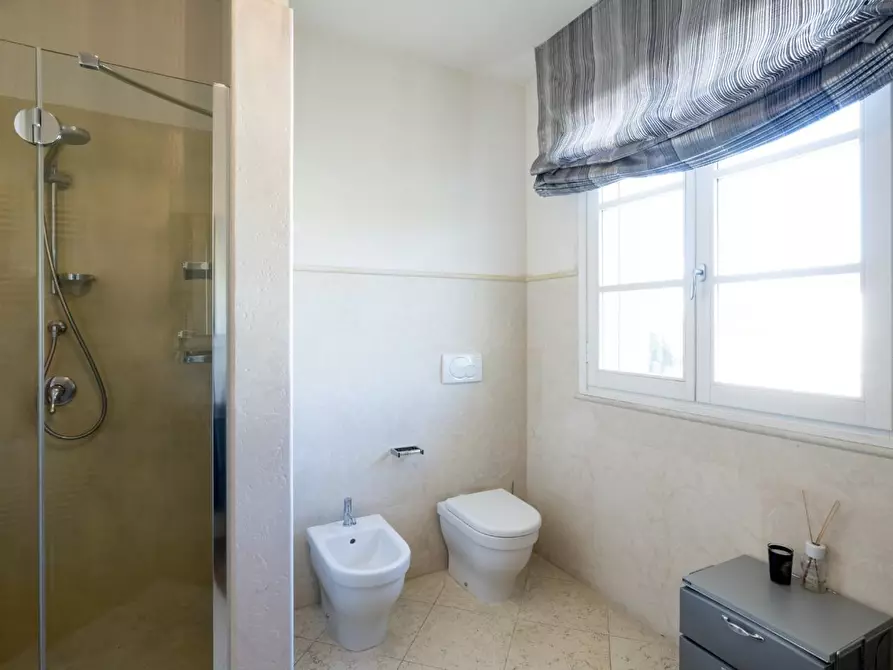 Immagine 23 di Villa in affitto  a Forte Dei Marmi