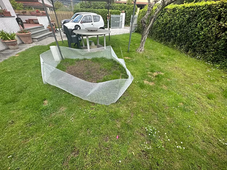 Immagine 8 di Casa indipendente in affitto  a Forte Dei Marmi