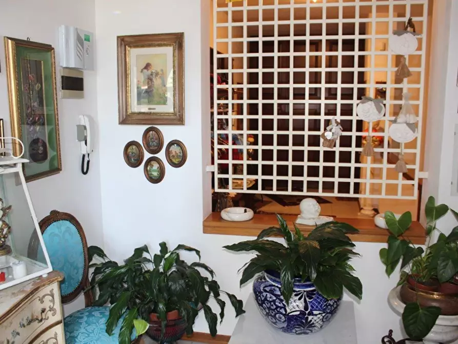 Immagine 2 di Appartamento in vendita  a Carrara