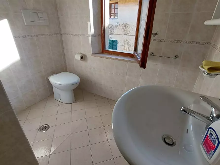 Immagine 21 di Casa indipendente in vendita  a Buti