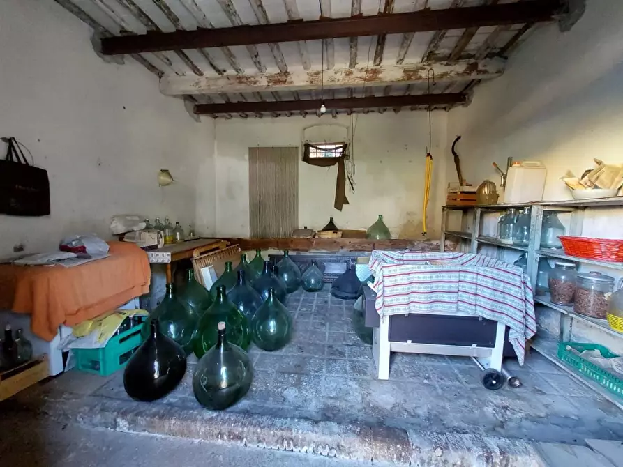 Immagine 22 di Casa indipendente in vendita  a Buti