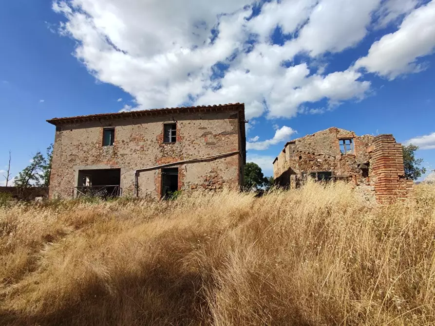 Immagine 16 di Casa colonica in vendita  a Lajatico
