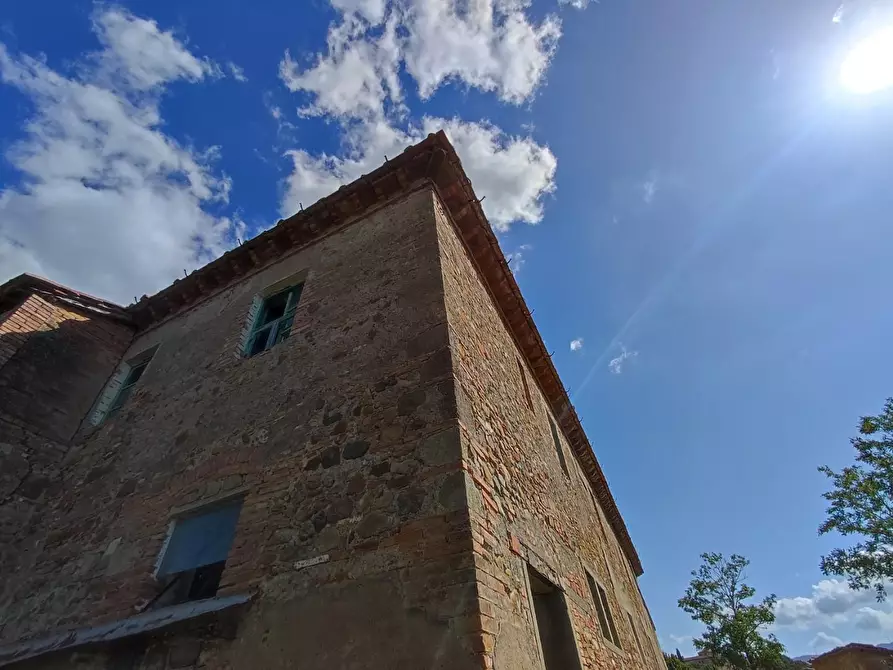 Immagine 6 di Casa colonica in vendita  a Lajatico