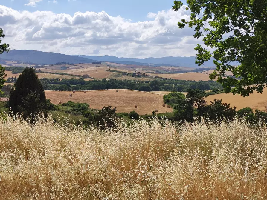 Immagine 11 di Casa colonica in vendita  a Lajatico