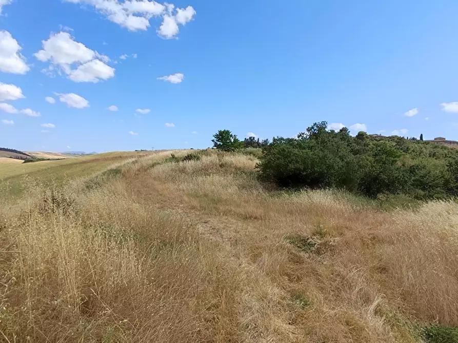 Immagine 15 di Casa colonica in vendita  a Lajatico