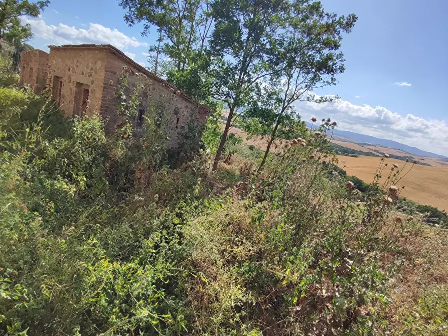 Immagine 5 di Casa colonica in vendita  a Lajatico