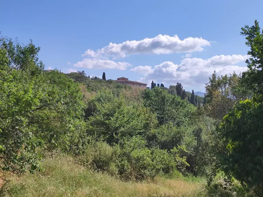 Immagine 1 di Casa colonica in vendita  a Lajatico