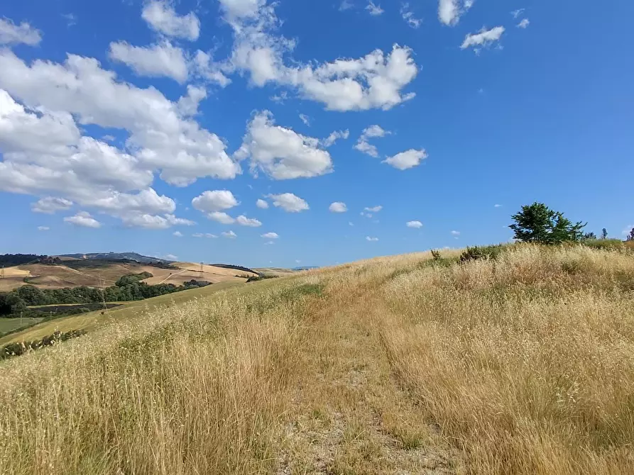 Immagine 13 di Casa colonica in vendita  a Lajatico