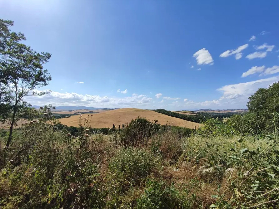 Immagine 4 di Casa colonica in vendita  a Lajatico