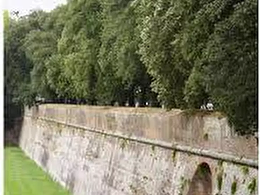 Immagine 6 di Locale commerciale in affitto  a Lucca