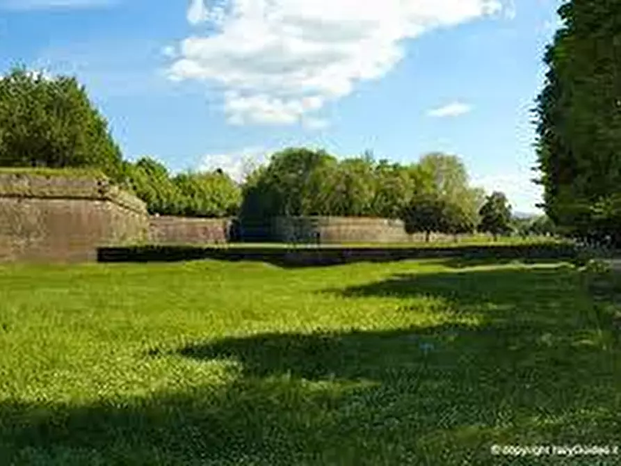 Immagine 7 di Locale commerciale in affitto  a Lucca