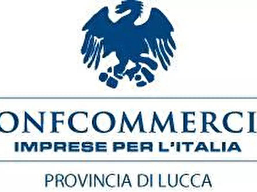 Immagine 12 di Locale commerciale in affitto  a Lucca