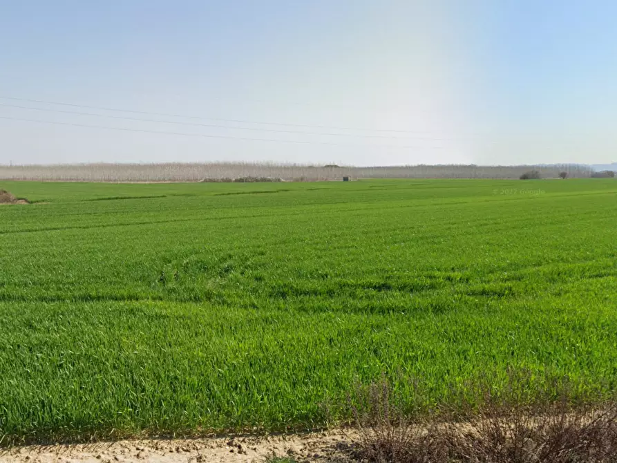 Immagine 1 di Terreno industriale in vendita  a Casciana Terme Lari