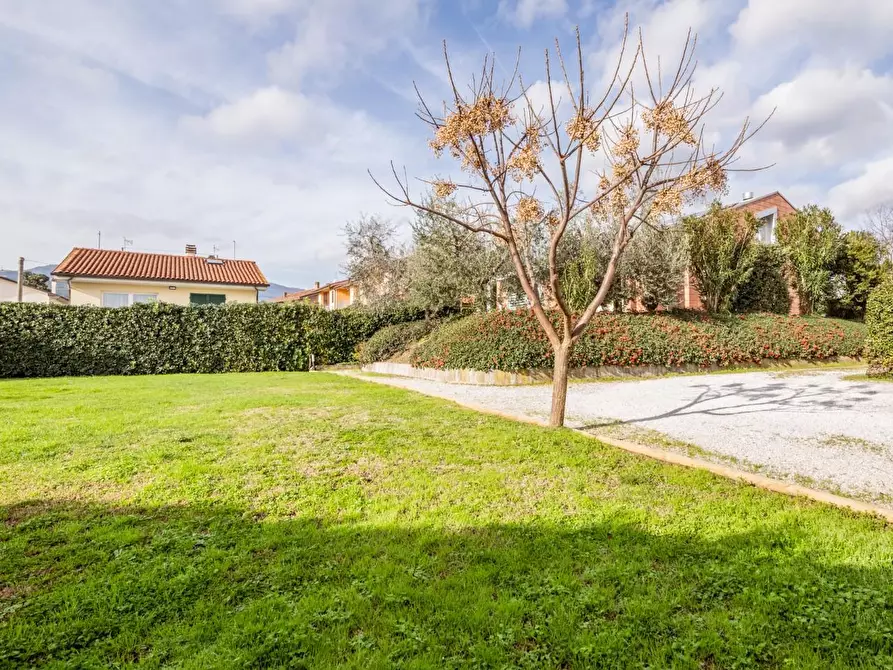 Immagine 54 di Villa in vendita  a Buti