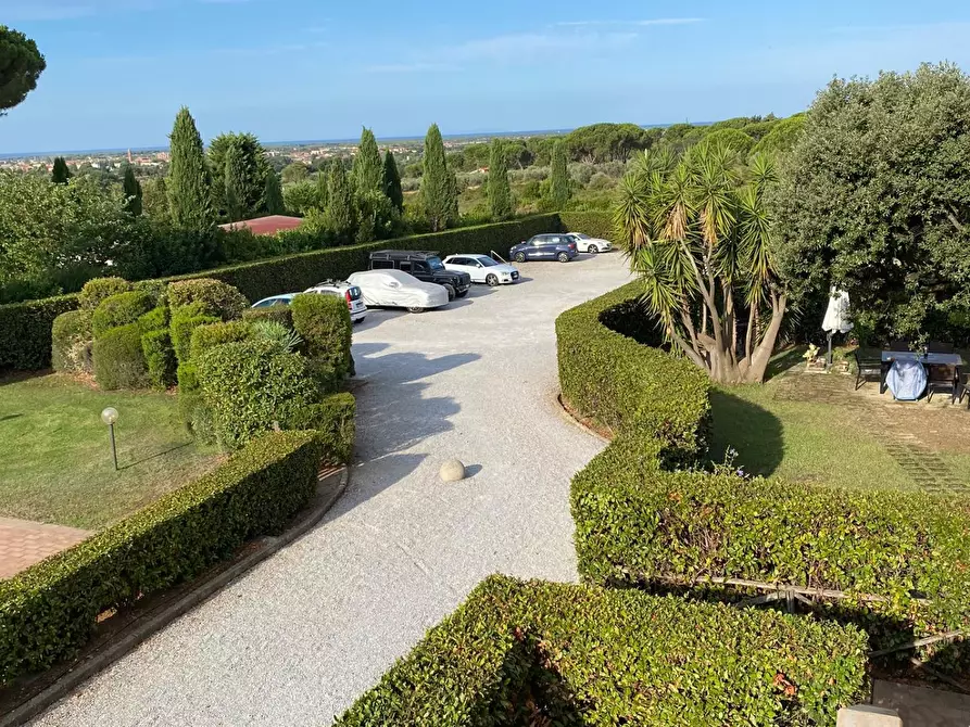 Immagine 14 di Appartamento in vendita  a Cecina