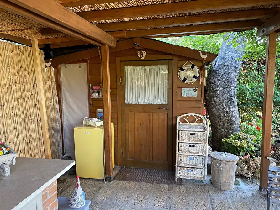 Immagine 19 di Appartamento in vendita  a Cecina