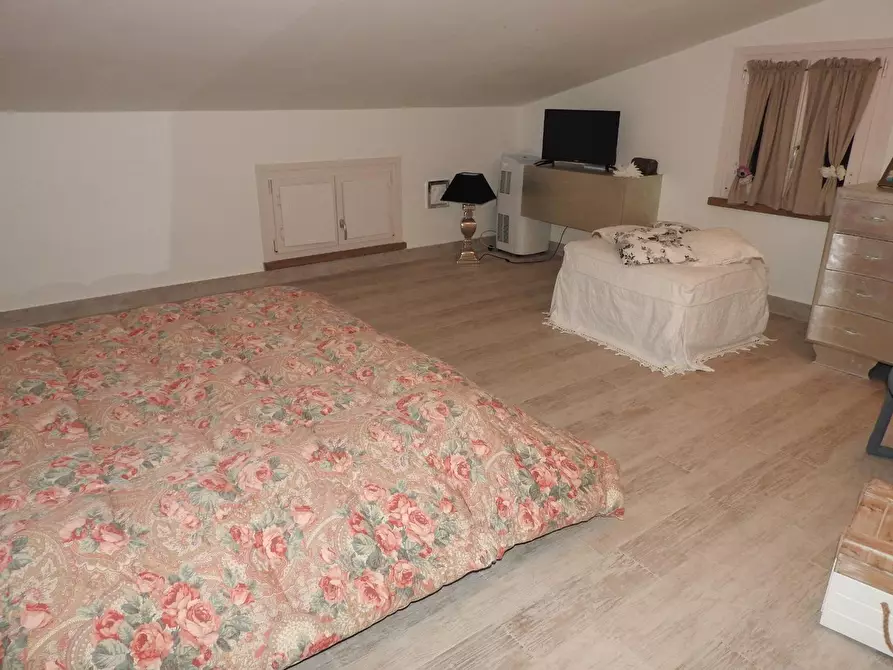 Immagine 7 di Appartamento in vendita  a Cecina