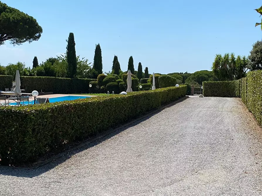 Immagine 15 di Appartamento in vendita  a Cecina