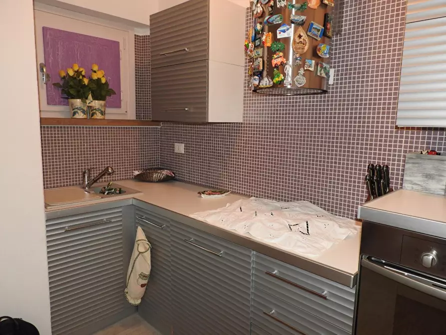 Immagine 5 di Appartamento in vendita  a Cecina