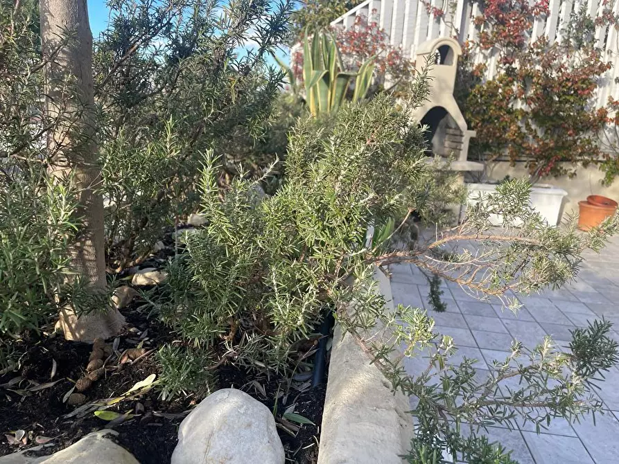 Immagine 29 di Appartamento in vendita  a Empoli