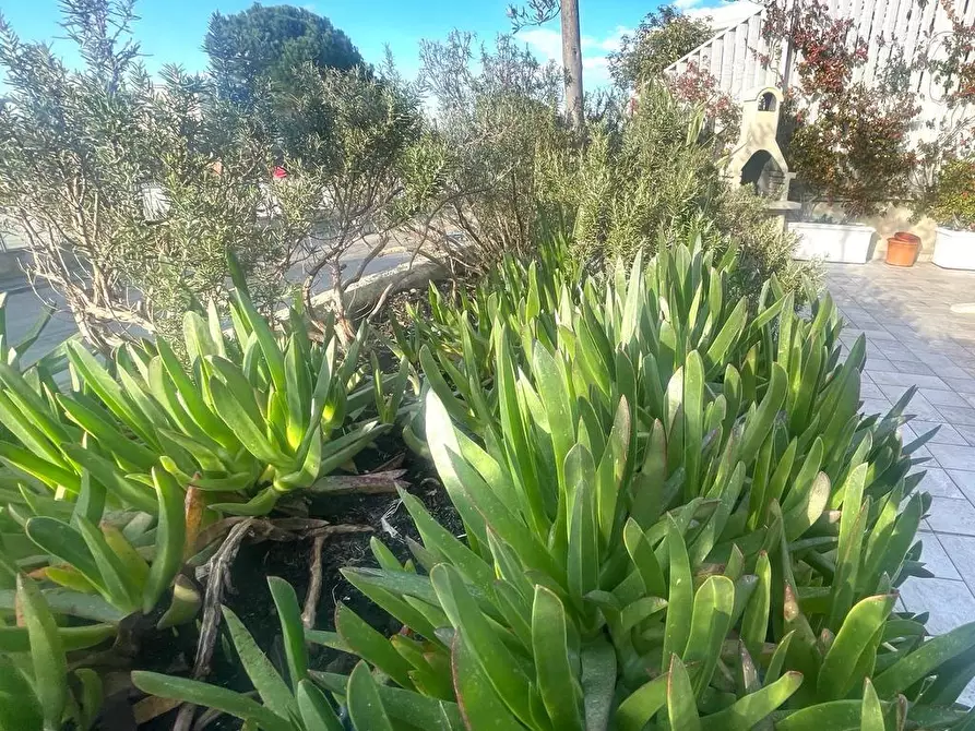 Immagine 25 di Appartamento in vendita  a Empoli