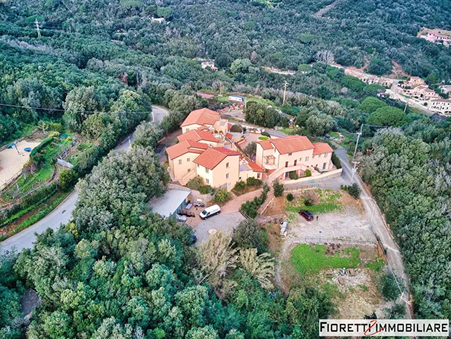 Immagine 4 di Appartamento in vendita  a Rio Marina