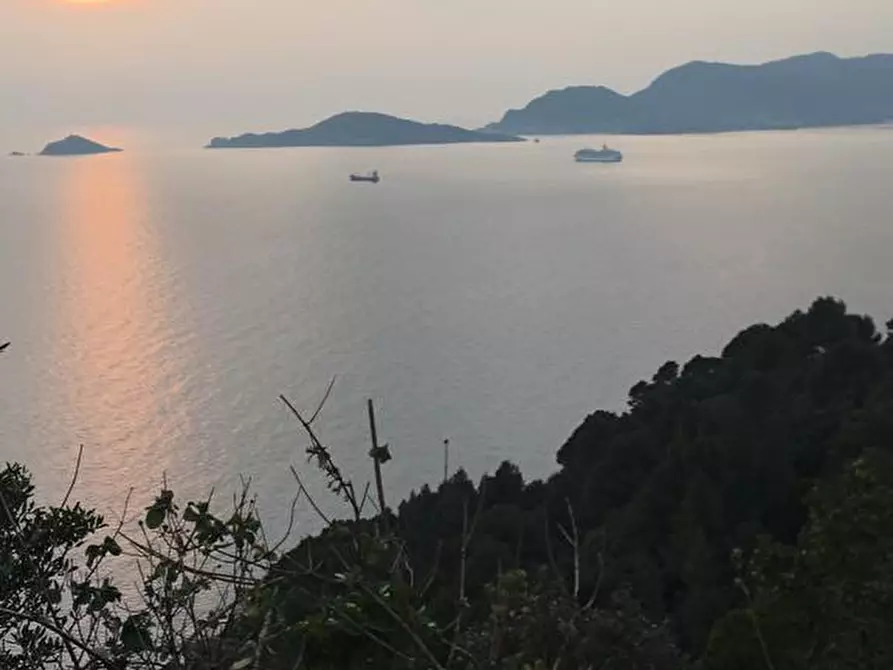 Immagine 21 di Villetta a schiera in vendita  a Massa