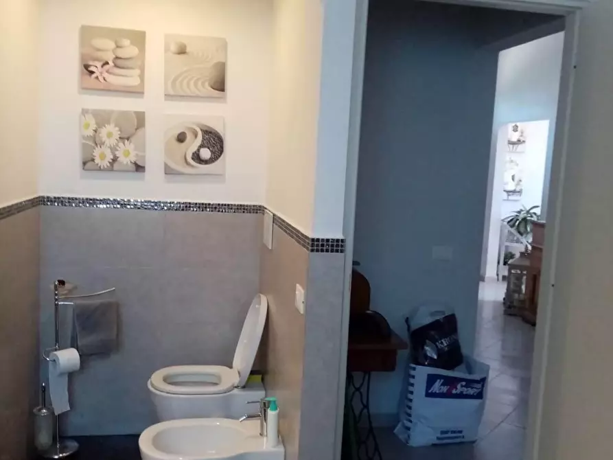 Immagine 25 di Casa indipendente in vendita  a Vecchiano