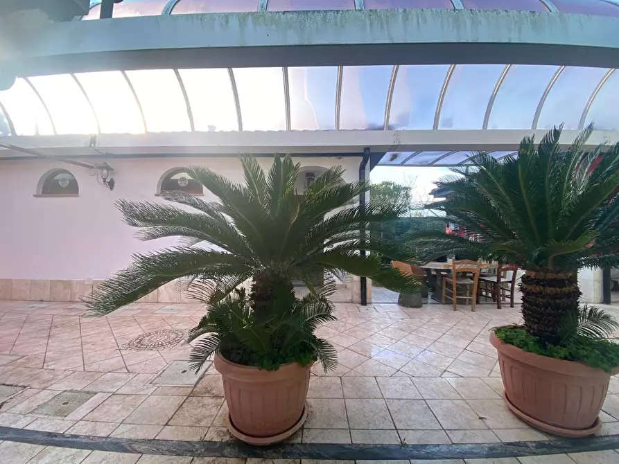 Immagine 16 di Albergo/B&B/Residence in vendita  a Piombino