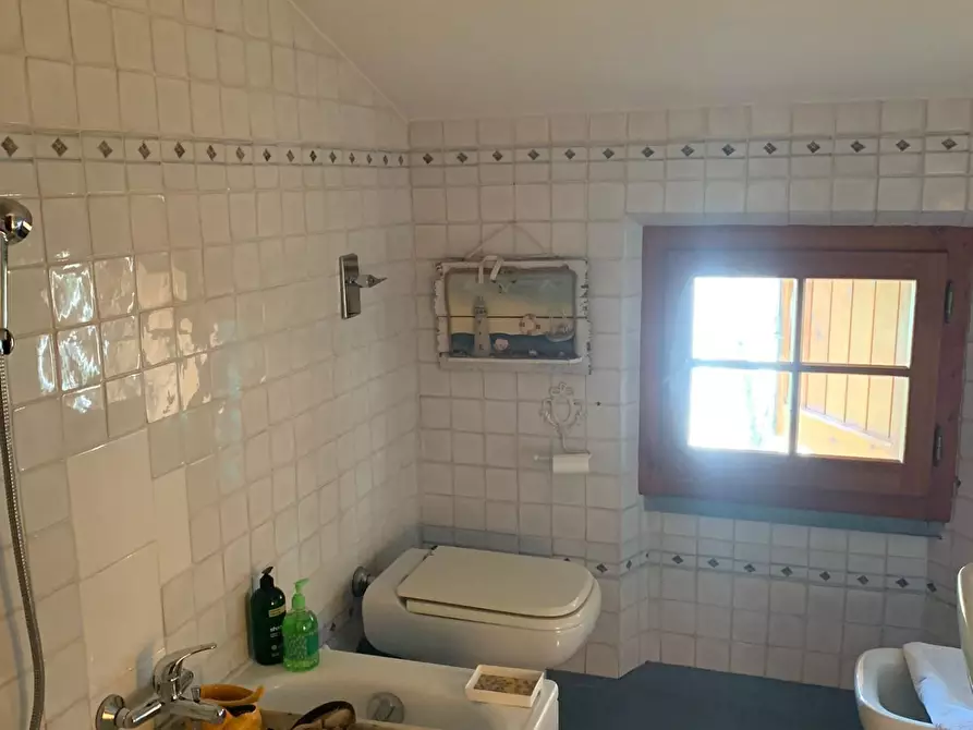 Immagine 13 di Mansarda in affitto  a Forte Dei Marmi