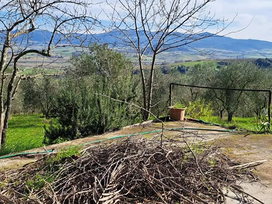Immagine 9 di Rustico / casale in vendita  a Rosignano Marittimo