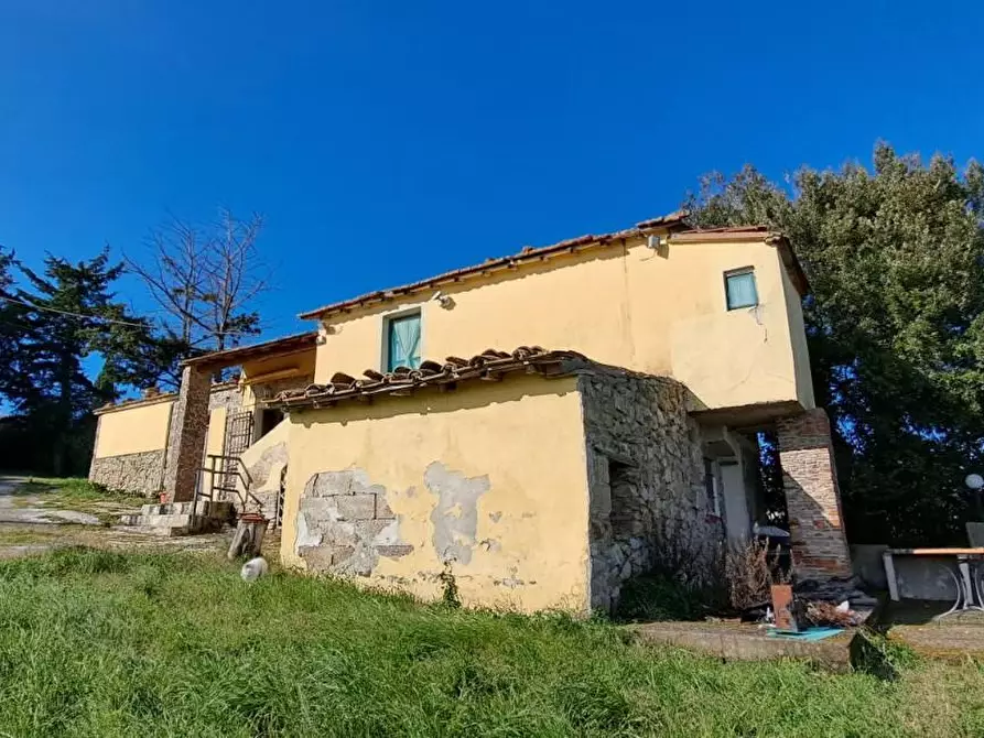 Immagine 3 di Rustico / casale in vendita  a Rosignano Marittimo