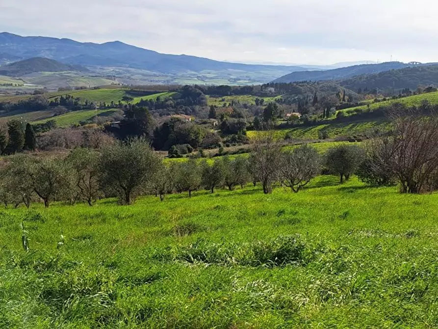 Immagine 8 di Rustico / casale in vendita  a Rosignano Marittimo