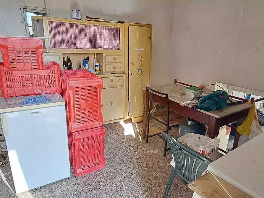 Immagine 15 di Rustico / casale in vendita  a Rosignano Marittimo
