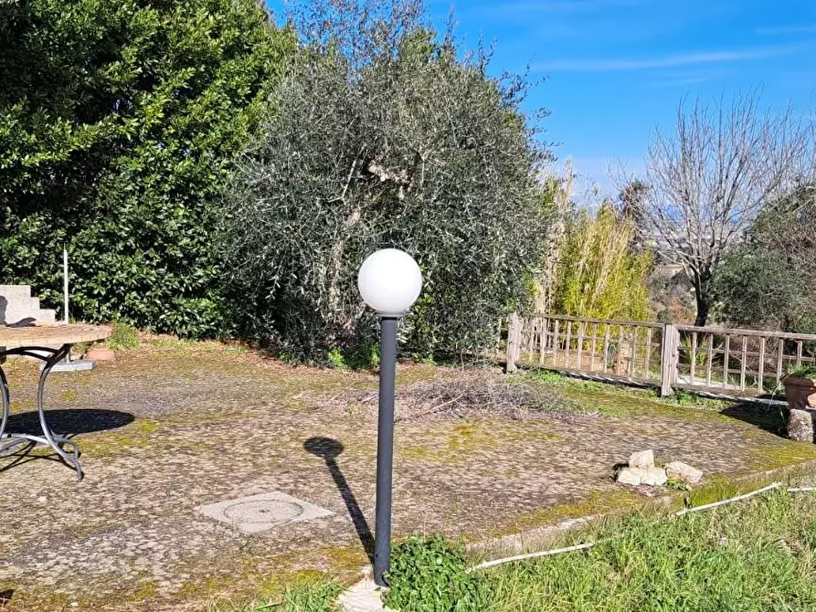 Immagine 11 di Rustico / casale in vendita  a Rosignano Marittimo