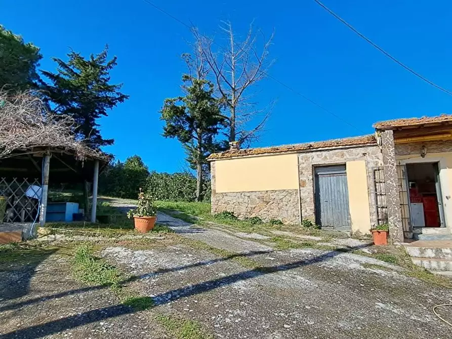 Immagine 4 di Rustico / casale in vendita  a Rosignano Marittimo