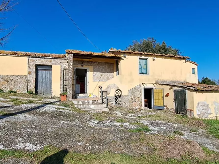Immagine 2 di Rustico / casale in vendita  a Rosignano Marittimo