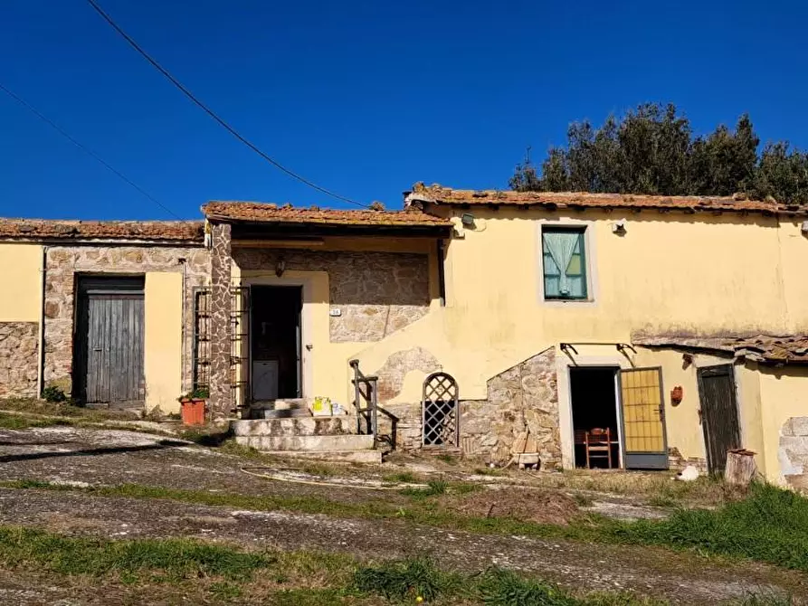 Immagine 1 di Rustico / casale in vendita  a Rosignano Marittimo