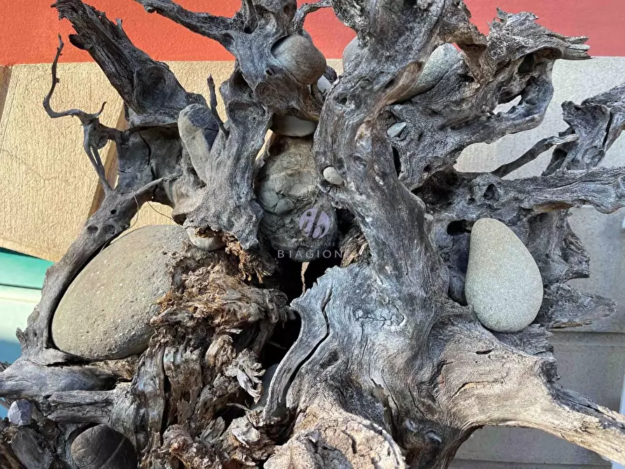 Immagine 12 di Villa in vendita  a Camaiore