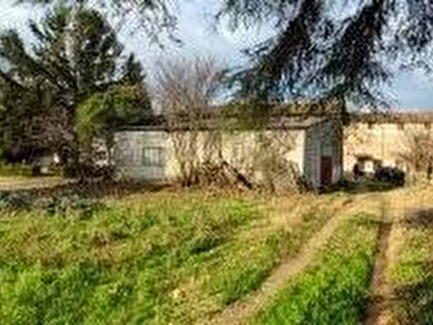 Immagine 5 di Terreno agricolo in vendita  a Pozzolengo