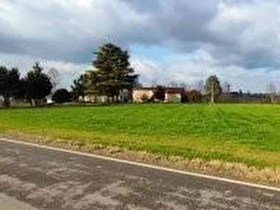 Immagine 4 di Terreno agricolo in vendita  a Pozzolengo