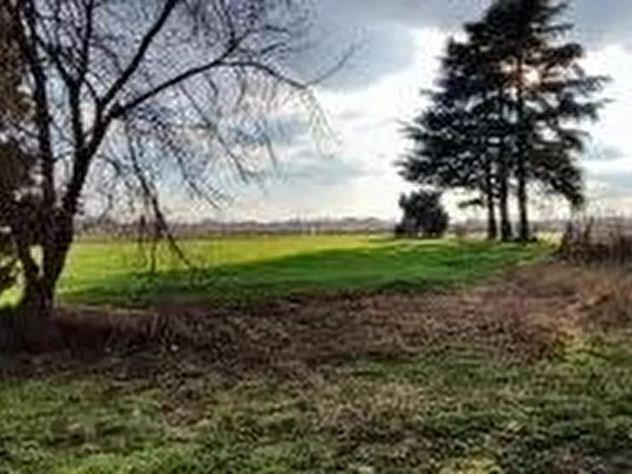 Immagine 11 di Terreno agricolo in vendita  a Pozzolengo