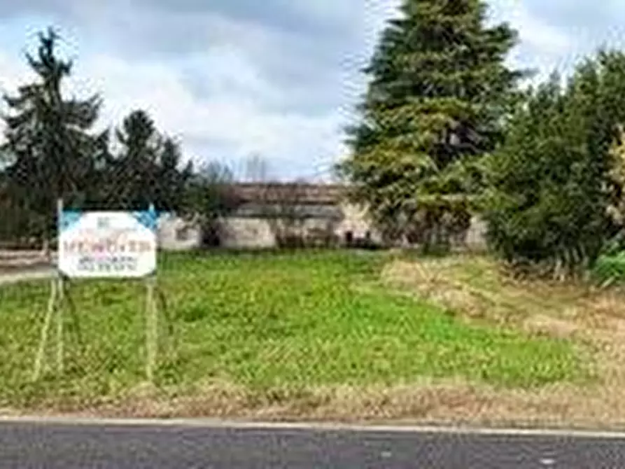 Immagine 2 di Terreno agricolo in vendita  a Pozzolengo