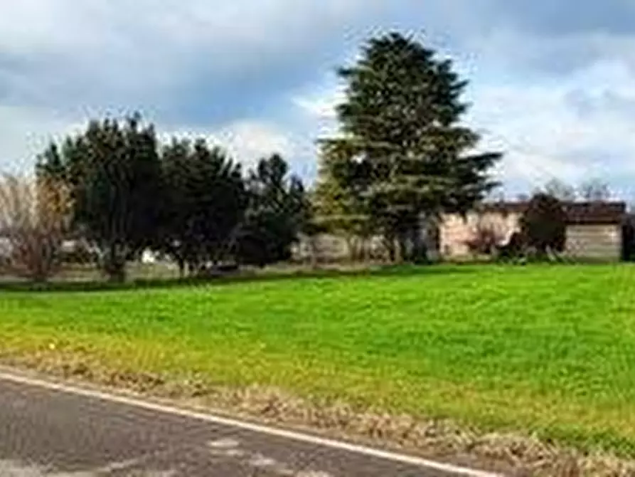 Immagine 3 di Terreno agricolo in vendita  a Pozzolengo