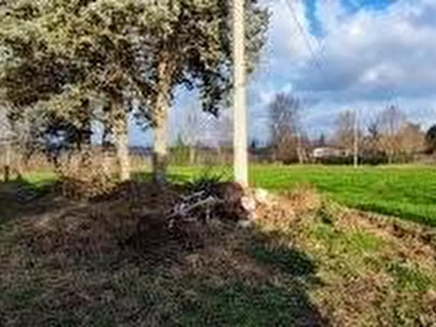 Immagine 10 di Terreno agricolo in vendita  a Pozzolengo
