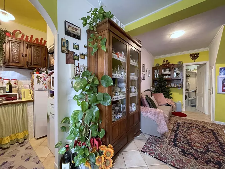 Immagine 2 di Terratetto in vendita  a Camaiore